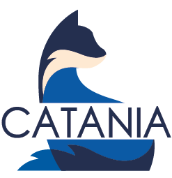 Catania Solutions